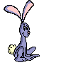 conejo-085.gif