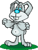 conejo-090.gif
