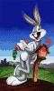 conejo-092.gif