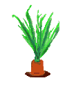conejo-100.gif