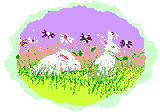 conejo-110.gif