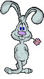 conejo-114.gif