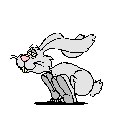 conejo-194.gif