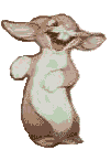 conejo-199.gif