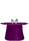 conejo-201.gif