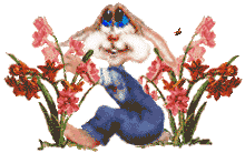 conejo-202.gif