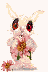 conejo-209.gif