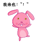 conejo-221.gif