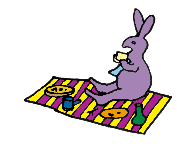 conejo-234.gif
