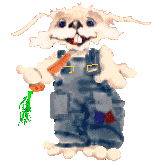 conejo-236.gif