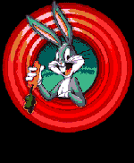 conejo-240.gif