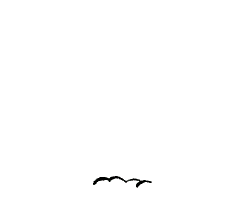 conejo-249.gif