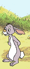 conejo-251.gif