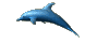 delfin-013.gif