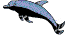 delfin-014.gif