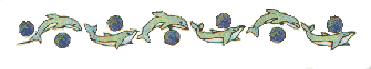 delfin-019.gif