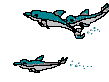 delfin-024.gif