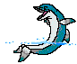 delfin-026.gif