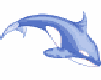delfin-032.gif