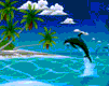 delfin-035.gif