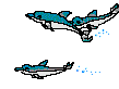 delfin-036.gif