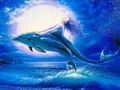 delfin-037.jpg