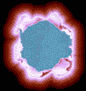 delfin-038.gif