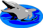 delfin-039.jpg