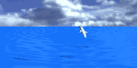delfin-042.gif