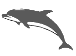 delfin-044.png