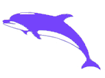 delfin-045.png