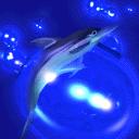delfin-050.jpg