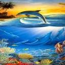 delfin-052.jpg