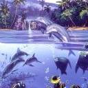 delfin-053.jpg