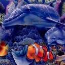 delfin-054.jpg