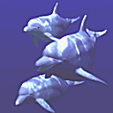 delfin-057.jpg