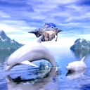 delfin-058.jpg