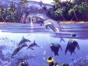 delfin-060.jpg