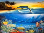 delfin-061.jpg