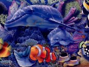 delfin-063.jpg