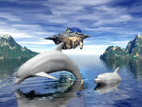 delfin-066.jpg
