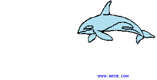 delfin-067.gif