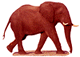 elefante-024.gif