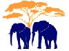 elefante-031.jpg