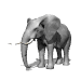 elefante-032.gif