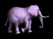 elefante-045.gif