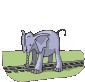 elefante-047.gif