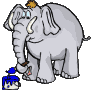 elefante-053.gif