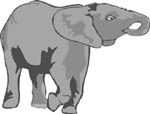 elefante-062.jpg
