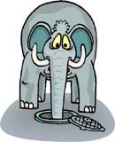 elefante-079.jpg